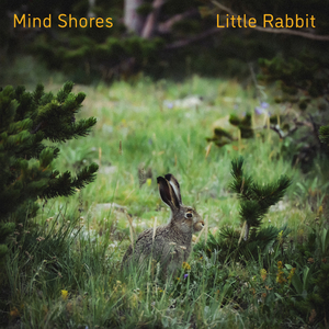 武则天裸体被强扒衣服
