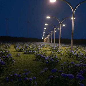 武则天裸体被强扒衣服
